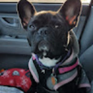 Meet your Posher, Leonard